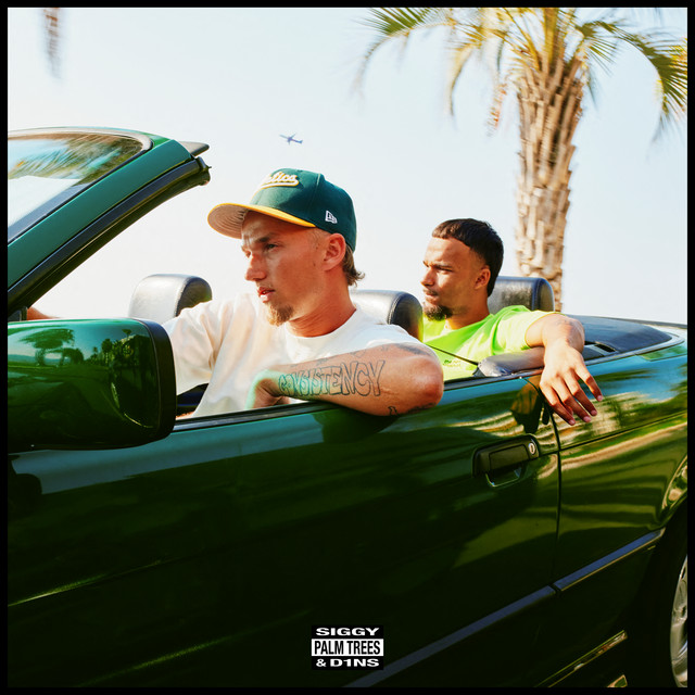 Siggy & D1ns – Palm Trees