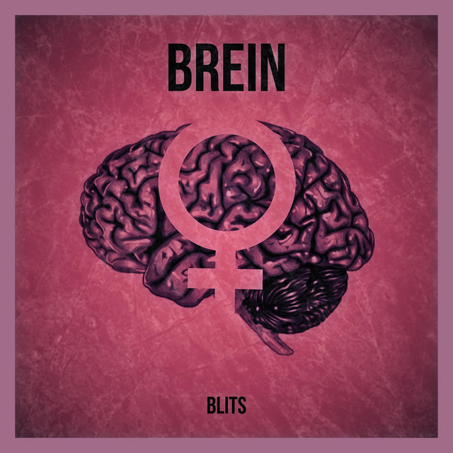 Blits – Brein