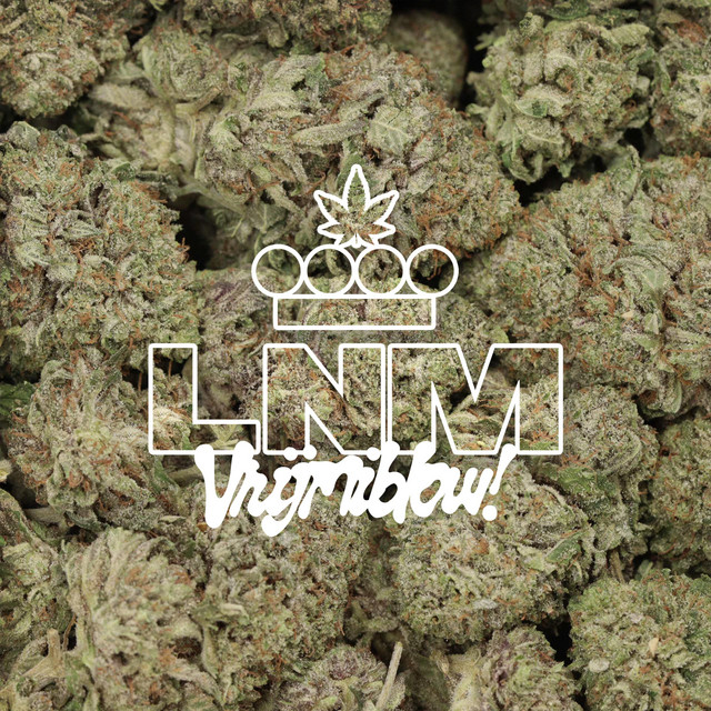 LNM – VRIJMIBLOW