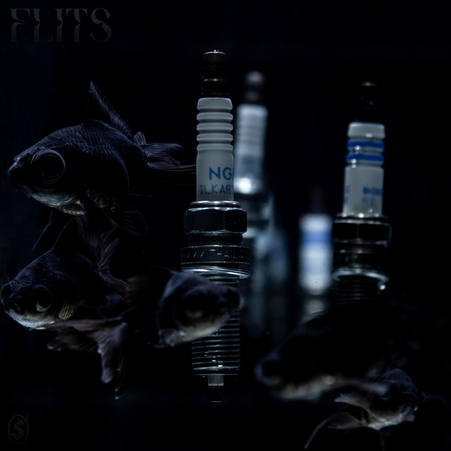 IETSCH – FLITS