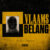 Freddie Konings – Vlaams Belang